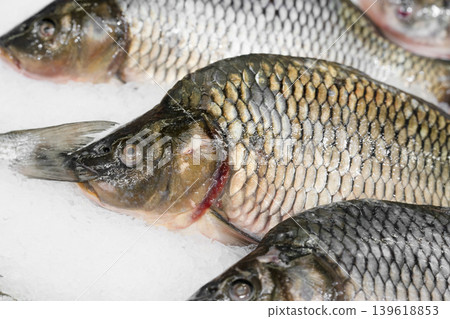 Close up view of fresh river fish carp on ice . Selection of fresh fish concept Close up view of fresh river fish carp on ice . Selection of fresh fish concept 139618853