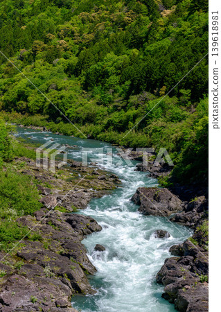 八重轟隆:由四萬十川水系湍急的河水和形狀奇特的岩石交織而成的峽谷景觀。 八重轟隆:由四萬十川水系湍急的河水和形狀奇特的岩石交織而成的峽谷景觀。 139618981