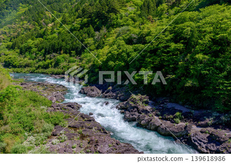 八重轟隆:由四萬十川水系湍急的河水和形狀奇特的岩石交織而成的峽谷景觀。 八重轟隆:由四萬十川水系湍急的河水和形狀奇特的岩石交織而成的峽谷景觀。 139618986