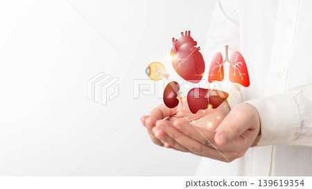 Organ donation and transplantation concept. Doctor hands holding liver, heart, eye, kidney and lung symbol. Health care and medical. Organ donation and transplantation concept. Doctor hands holding liver, heart, eye, kidney and lung symbol. Health care and medical. 139619354