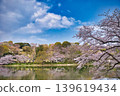 對岸綿延著一排櫻花樹。 139619434