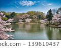 春意盎然的三池公園 139619437