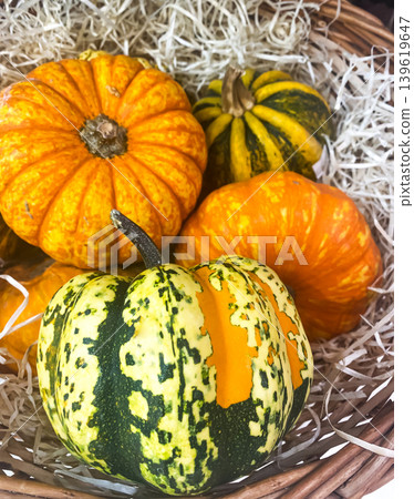 Wicker basket with colorful decorative gourds, featuring vibrant shades of Green and Orange for autumn decor at a seasonal market. Assorted Small pumpkins in a basket. Wicker basket with colorful decorative gourds, featuring vibrant shades of Green and Orange for autumn decor at a seasonal market. Assorted Small pumpkins in a basket. 139619647