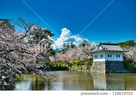 從護城河上眺望城堡塔樓，河面上櫻花盛開。 139619783