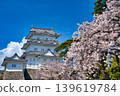 城堡塔樓和盛開的櫻花。 139619784