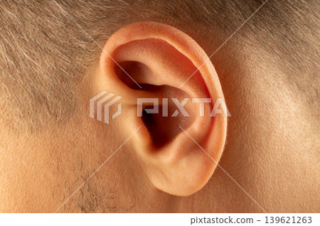 Close view of a human ear showing fine details of the structure Close view of a human ear showing fine details of the structure 139621263