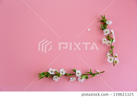 minimal spring background with white blossom branches and copy space minimal spring background with white blossom branches and copy space 139621325