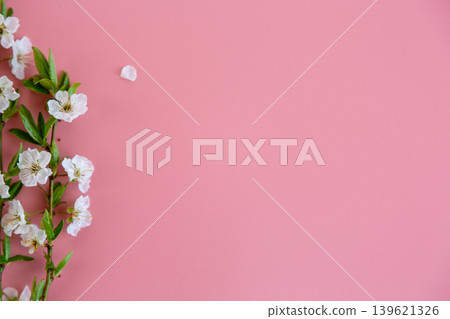 minimalistic spring composition with cherry blossom branches and empty space minimalistic spring composition with cherry blossom branches and empty space 139621326