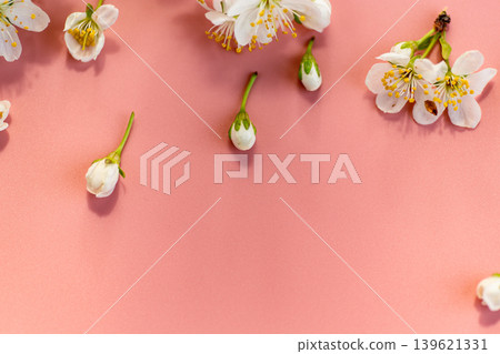 minimal floral composition with white blossoms on pastel pink 139621331