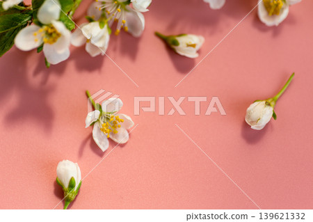 romantic cherry blossom flowers on light pink minimal background romantic cherry blossom flowers on light pink minimal background 139621332
