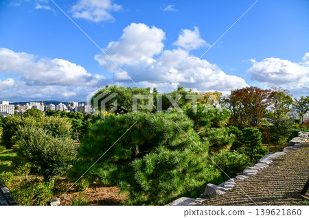 The nature view and city view from the top of nijo jo castle, Kyoto, Japan. World Heritage Site. Major tourist attraction in Kansai region in Japan. Japan famous historic architecture. Nature scene. 139621860