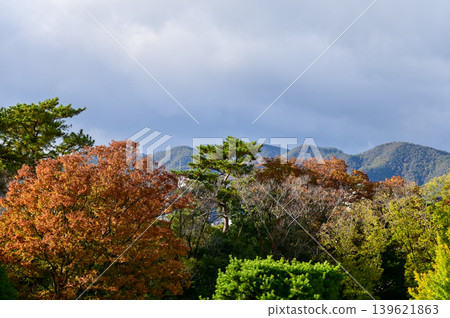 The nature view and city view from the top of nijo jo castle, Kyoto, Japan. World Heritage Site. Major tourist attraction in Kansai region in Japan. Japan famous historic architecture. Nature scene. 139621863
