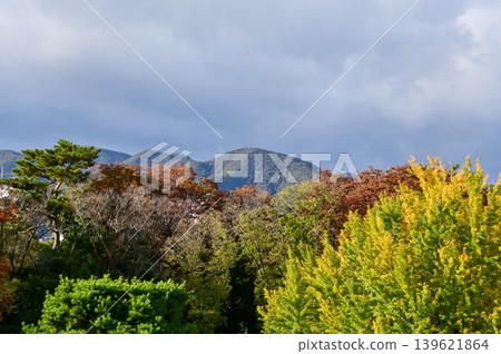 The nature view and city view from the top of nijo jo castle, Kyoto, Japan. World Heritage Site. Major tourist attraction in Kansai region in Japan. Japan famous historic architecture. Nature scene. 139621864
