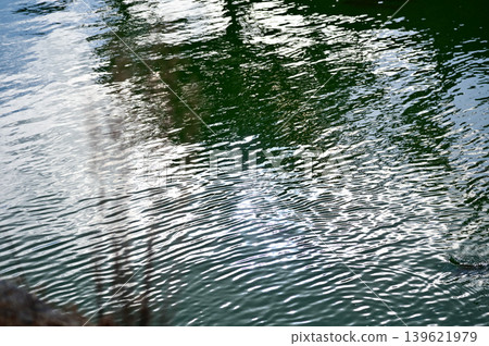 Close-up of the moat of nijo jo castle, Kyoto, Japan. World Heritage Site. Water reflection with plants. Major tourist attraction in Kansai region in Japan. Nature scene. 139621979