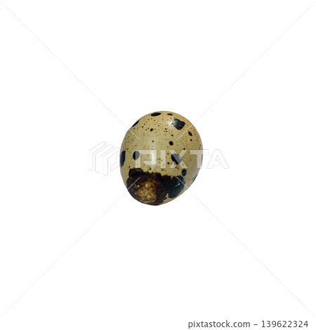 Quail egg with distinct brown and black spots, isolated on a clean white background. Quail egg with distinct brown and black spots, isolated on a clean white background. 139622324