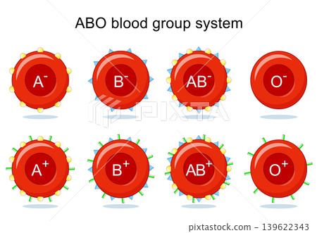 ABO blood group system. Red blood cells with antigens. ABO blood group system. Red blood cells with antigens. 139622343