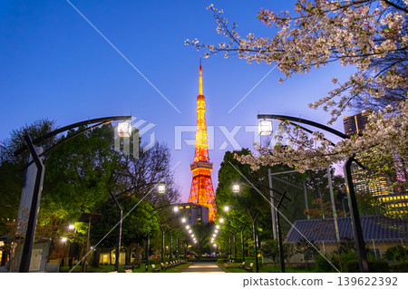 東京港區芝公園步道上，夜晚盛開著美麗的櫻花，夜幕下的東京鐵塔燈火輝煌。 139622392