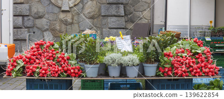 Fresh radishes and potted herbs at Naplavka market stall Fresh radishes and potted herbs at Naplavka market stall 139622854