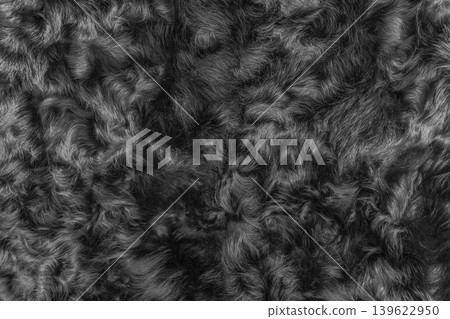Black wool texture fur background dark soft material abstract surface pattern natural backdrop animal Black wool texture fur background dark soft material abstract surface pattern natural backdrop animal 139622950