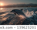 Dolphin leaps joyfully over ocean waves at sunset near distant mountains 139623201