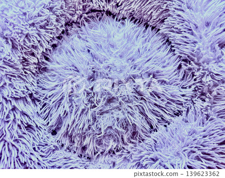 purple shaggy carpet macro texture swirls fluffy fibers into cozy lavender vortex purple shaggy carpet macro texture swirls fluffy fibers into cozy lavender vortex 139623362