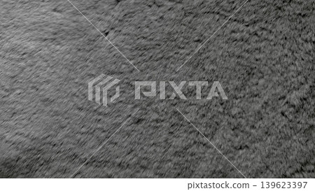 gray shaggy carpet texture soft plush macro fluffy fibers luxurious intricate detailed surface 139623397