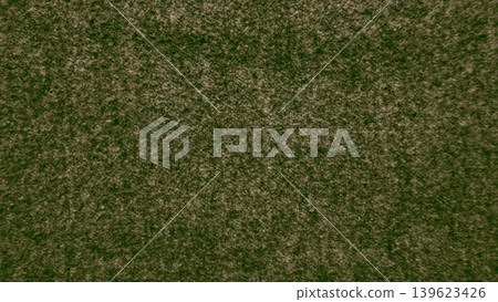 dark green carpet texture macro abstract with intricate fibrous details and grainy organic surface patterns dark green carpet texture macro abstract with intricate fibrous details and grainy organic surface patterns 139623426