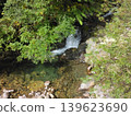 Abundant nature 139623690