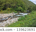 Abundant nature 139623691
