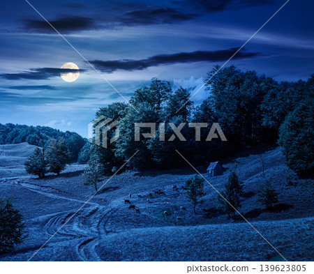 view of mountain meadow at night. full moon over countryside summertime landscape with beech forest on the grassy field on hill. dark sky. mysterious alpine background for travel through highland view of mountain meadow at night. full moon over countryside summertime landscape with beech forest on the grassy field on hill. dark sky. mysterious alpine background for travel through highland 139623805