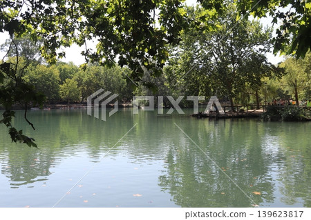 Scenic View of Anna Lagoon Framed by Green Leaves, Spain Scenic View of Anna Lagoon Framed by Green Leaves, Spain 139623817