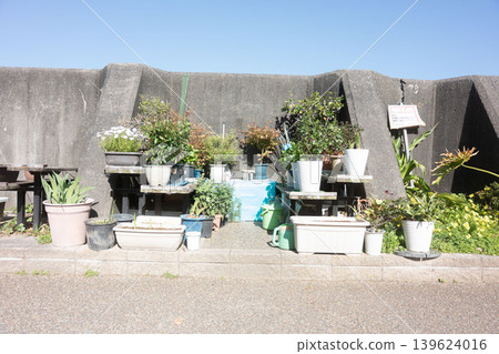Gardening in a limited space: A variety of pots gathered along a sunny embankment. Gardening in a limited space: A variety of pots gathered along a sunny embankment. 139624016