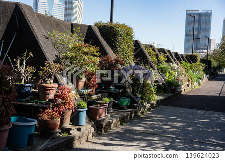 Gardening in a limited space: A variety of pots gathered along a sunny embankment. 139624023