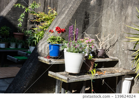 Gardening in a limited space: A variety of pots gathered along a sunny embankment. Gardening in a limited space: A variety of pots gathered along a sunny embankment. 139624024