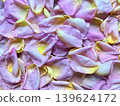 pink yellow rose petals scattered delicately creating lush romantic natural macro serenity 139624172