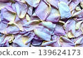 delicate pastel lavender rose petal piled in soft overlapping layer evoking serene romantic floral elegance 139624173