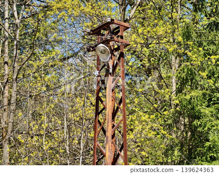 Ancient Metal Tower Among Trees. Abandoned Metal Framework With Vines And Perched Birds In Woodland 139624363