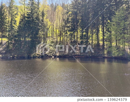 Serene Forest Lake With Reflections. Calm Waters Reflecting Surrounding Conifers Under Bright Sunlight Serene Forest Lake With Reflections. Calm Waters Reflecting Surrounding Conifers Under Bright Sunlight 139624379