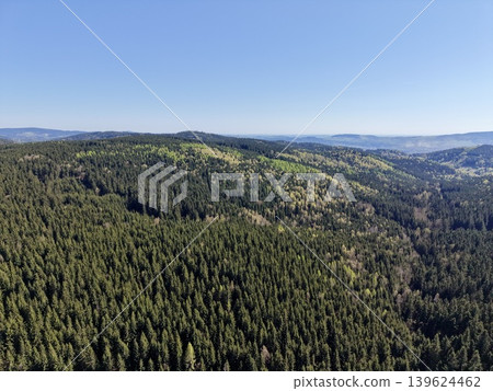 Expansive Pinewood Covering Rolling Terrain. Remote Wilderness With Dense Evergreen Canopy Visibility 139624462