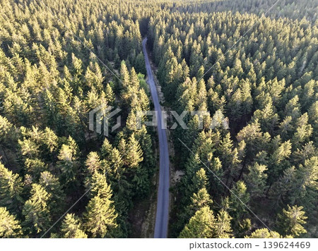 Aerial View Of Winding Treetop Trail. Serpentine Forest Pathway Illuminated By Sunlight From Above Aerial View Of Winding Treetop Trail. Serpentine Forest Pathway Illuminated By Sunlight From Above 139624469