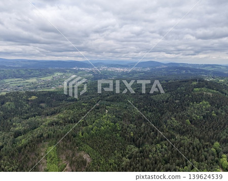 Tall Ancient Trees Under Clouds. Wide Angle View Showcasing Layered Canopy And Conservation Significance Tall Ancient Trees Under Clouds. Wide Angle View Showcasing Layered Canopy And Conservation Significance 139624539