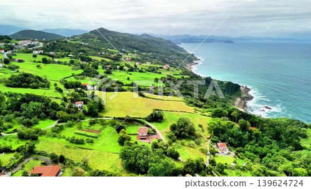 Discover the stunning coastal landscape with lush greenery and a mesmerizing ocean view 139624724