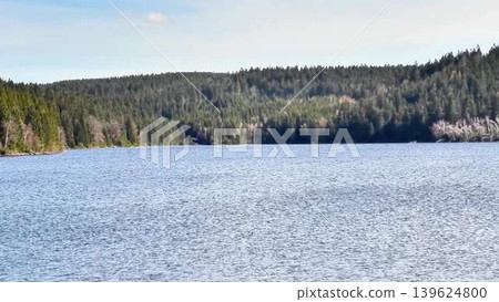 A Serene Lake, Beautifully Surrounded by Lush, Vibrant Forests Offering Tranquility and Peace A Serene Lake, Beautifully Surrounded by Lush, Vibrant Forests Offering Tranquility and Peace 139624800