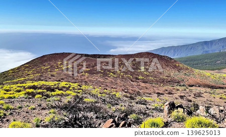Enjoy breathtaking greenery and a dramatic mountain view for a unique adventure experience 139625013