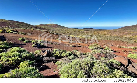 A stunning and breathtaking volcanic landscape featuring vibrant flora and clear blue skies 139625040