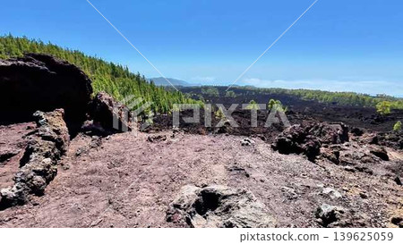 Experience the stunning beauty of a lava landscape adorned with lush and vibrant vegetation 139625059