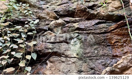A stunning intricate rock formation adorned with vibrant greenery and lush plant life 139625129