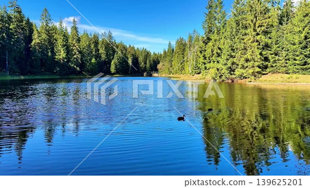 A Peaceful Reflection in a Beautiful Serene Forest Lake Surrounded by Natures Splendor 139625201