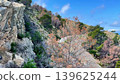 A beautiful scenic coastal roadway that perfectly overlooks the vast and inspiring sea 139625244