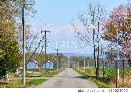 A straight road in Hokkaido A straight road in Hokkaido 139625603